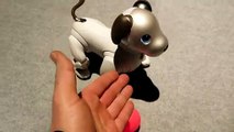 Up Close With Sony's Aibo At CES 2019