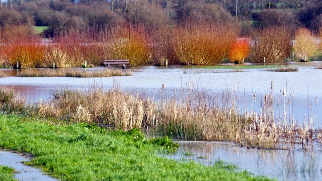 MARAIS EN COTENTIN - Photographies de Bertrand Leroux - Musique de Michel Allain