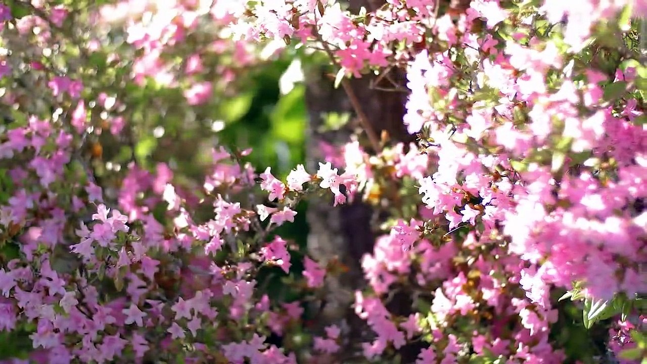 Sensational Penthouse  Ocean Views  West Vancouver