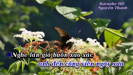 ( karaoke ) DAU CHAN KY NIEM - HOÀNG NGHĨA