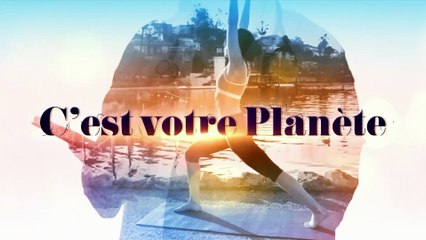 Des pâtisseries sans œuf ni beurre