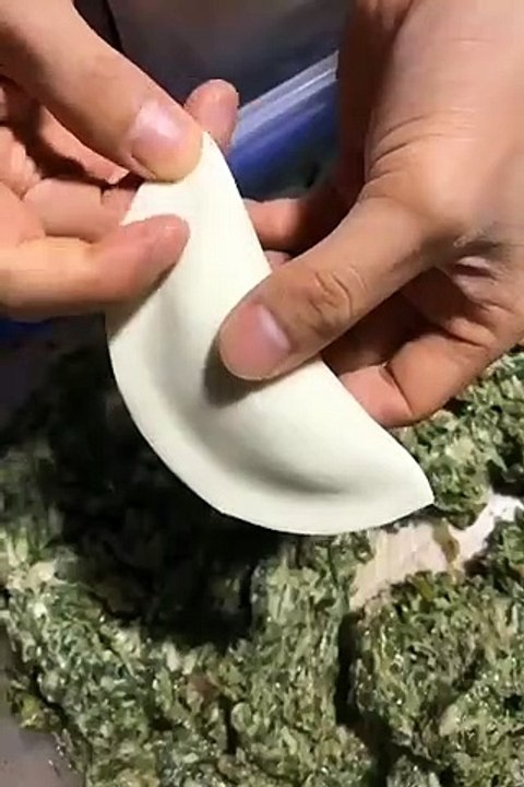 Perfectly wrapped dumpling.