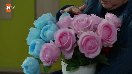 Hediye’ye iş teklifi! - Kırgın Çiçekler 103.Bölüm