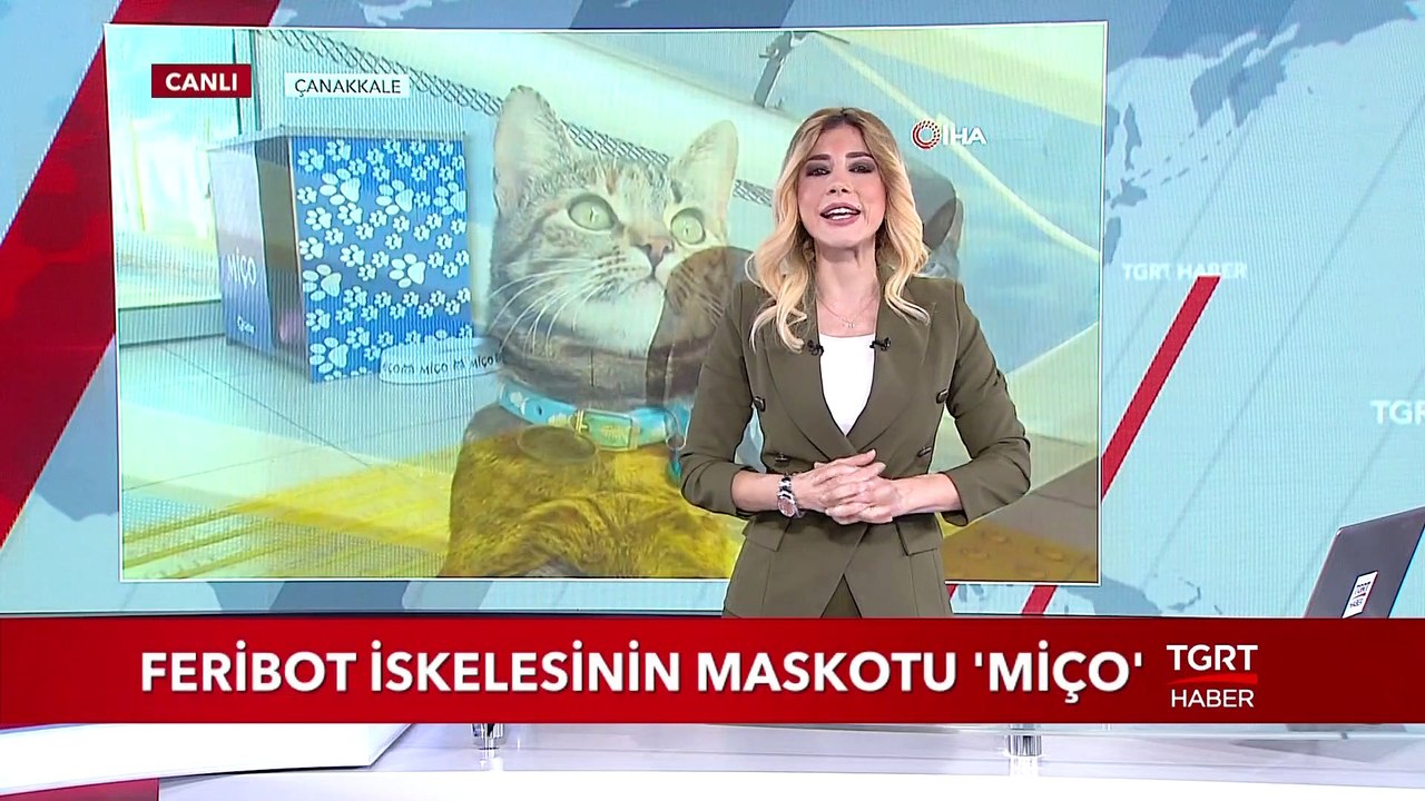 Feribot İskelesinin Maskotu 'Miço'