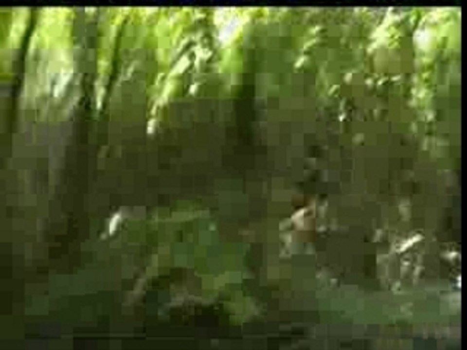 VTT terrain (2ème jour)