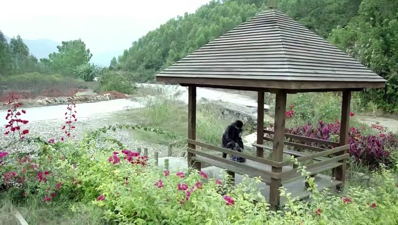 Bí Mật Của Hạnh Phúc Tập 36 - Phim Trung Quốc Lồng Tiếng - Phim Bi Mat Cua Hanh Phuc Tap 36