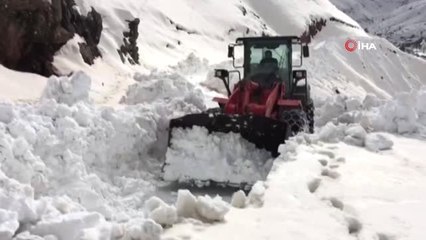 Karda Mahsur Kalan At 5 Saatlik Çalışmayla Kurtarıldı