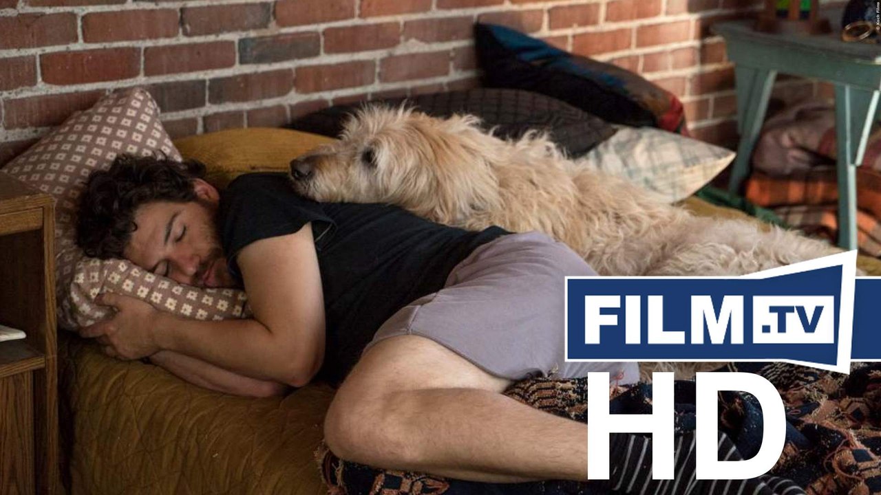 Dog Days Trailer Deutsch German (2019)