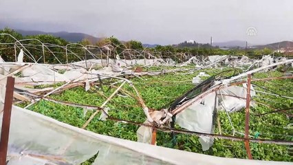 Kumluca'da hortumdan zarar gören seralar - ANTALYA