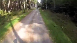 Ce cycliste va avoir la peur de sa vie en traversant une foret!