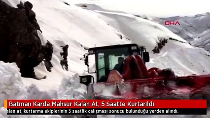 Batman Karda Mahsur Kalan At, 5 Saatte Kurtarıldı