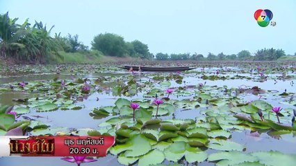 แก้วลากพี่เทพไปจูบในน้ำ | ตอกย้ำความสนุก บ่วงสไบ EP.1 | Ch7HD