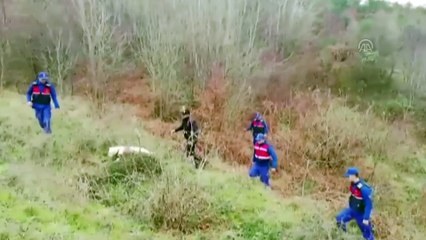 Kaybolan yaşlı adam, ormanlık alanda bulundu - İSTANBUL