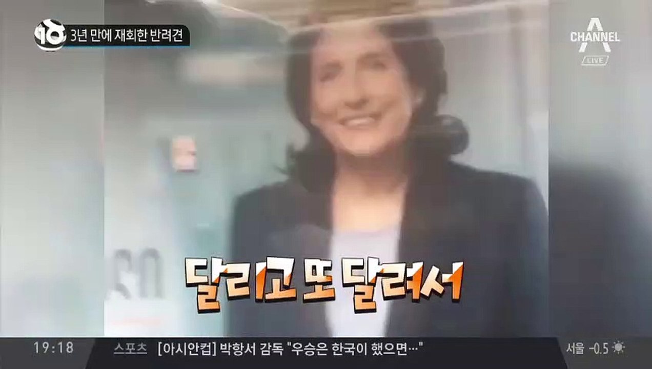 3년 만에 재회한 반려견