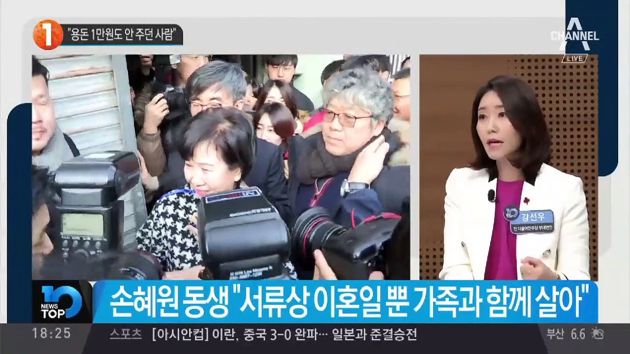 손혜원 동생 “조카 용돈 1만 원도 안 주던 사람”