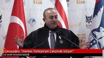 Çavuşoğlu: 