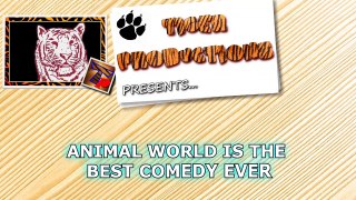 Animal world is the best comedy that make us laugh - Funny animal compilation