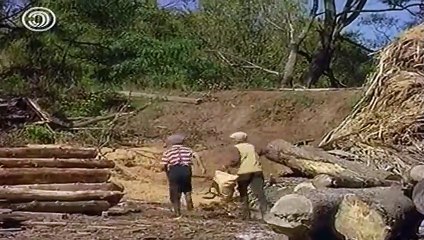 Ветер в спину 1 сезон 2 серия