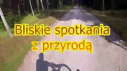 L'énorme frayeur d'un cycliste qui traverse une forêt !