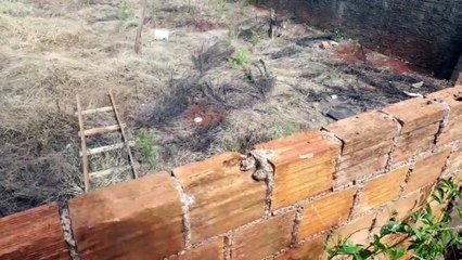 Bandidos pulam muro de residência e furtam bicicletas