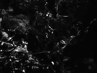 Francis, le mulet qui parle  - Trailer