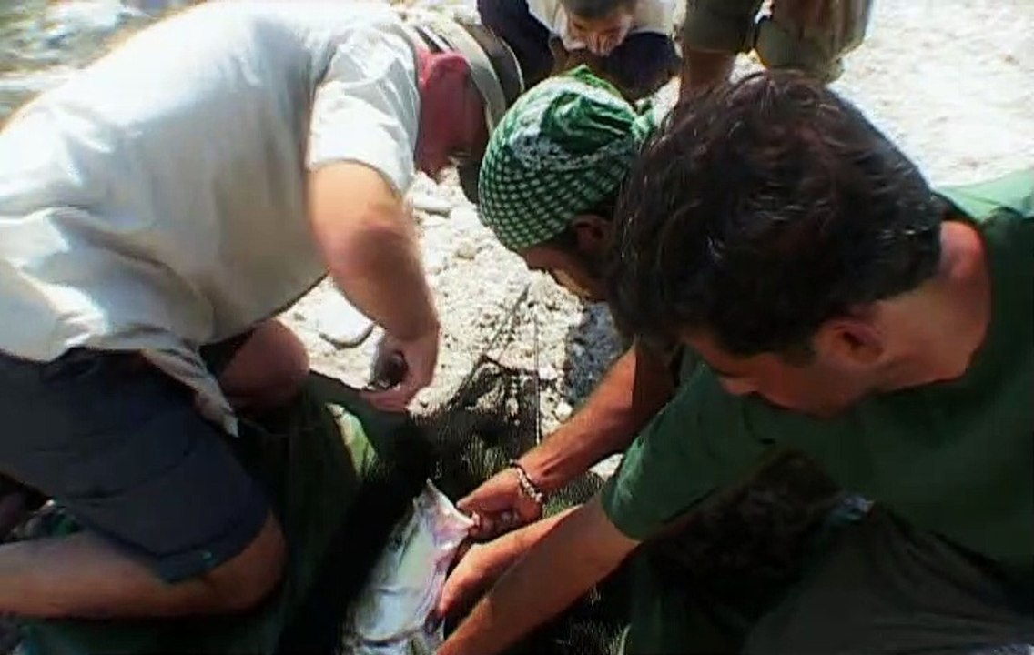 Jungle Hooks With Jeremy Wade S01E05 The Last Pool