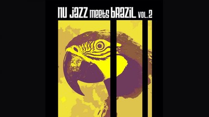 Best Of Jazz Bossa Nova Music - Nu Jazz Meets Brazil