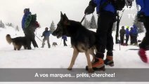 Une simulation d'avalanche pour le diplôme de maître-chien