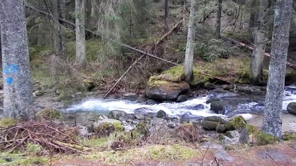 Demanovka River Nizke Tatry in Slovakia