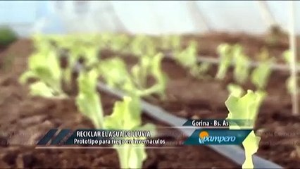 Beneficios de un sistema colector de agua de lluvia entérate con José Simón Elarba Haddad