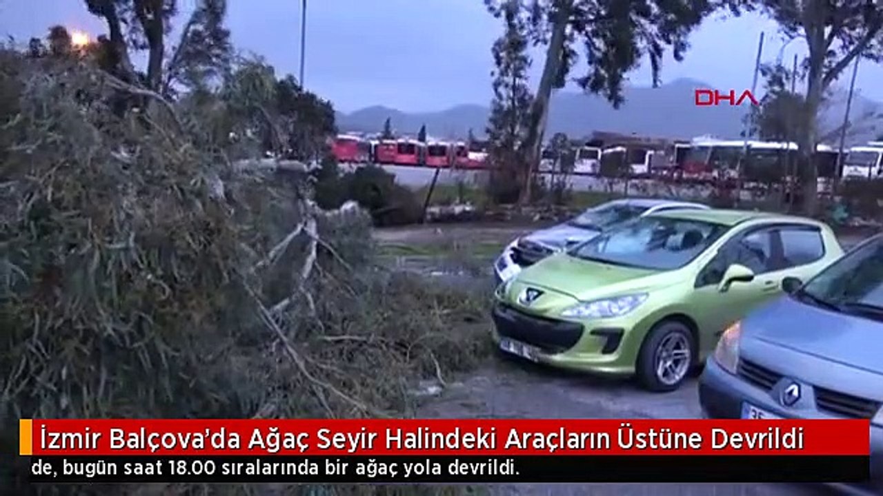 İzmir Balçova'da Ağaç Seyir Halindeki Araçların Üstüne Devrildi