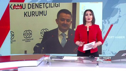 Hayvanlara Şiddet Suç Sayılacak