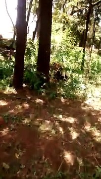 URGENTE | BARRAGEM ROMPE EM BRUMADINHO EM MINAS GERAIS