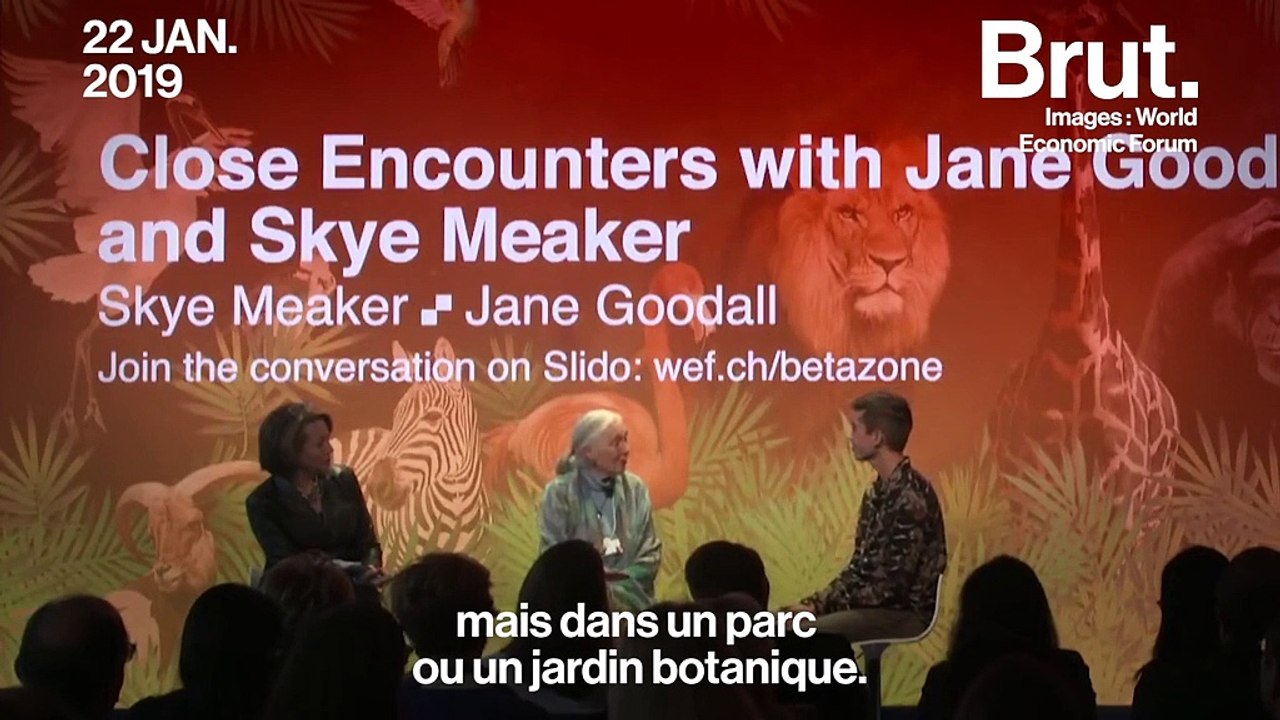 "En grandissant, ils prendront leurs places" : le message de résistance de Jane Goodall à la jeunesse
