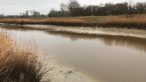 Inauguration des portes à flots de la Taute