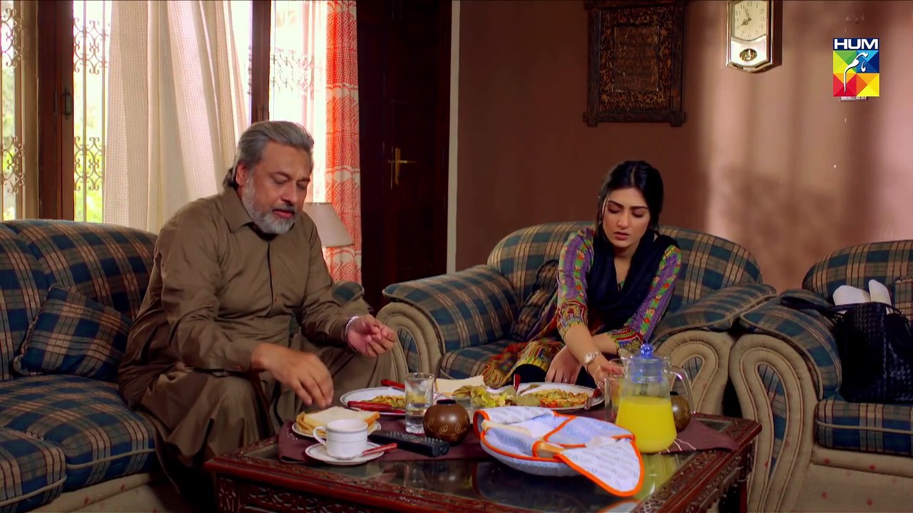 Band Khirkiyan Episode 26 HUM TV Drama 25 January 2019