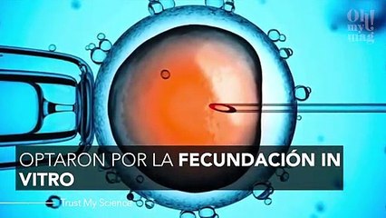 Quedó embarazada dos veces en una semana