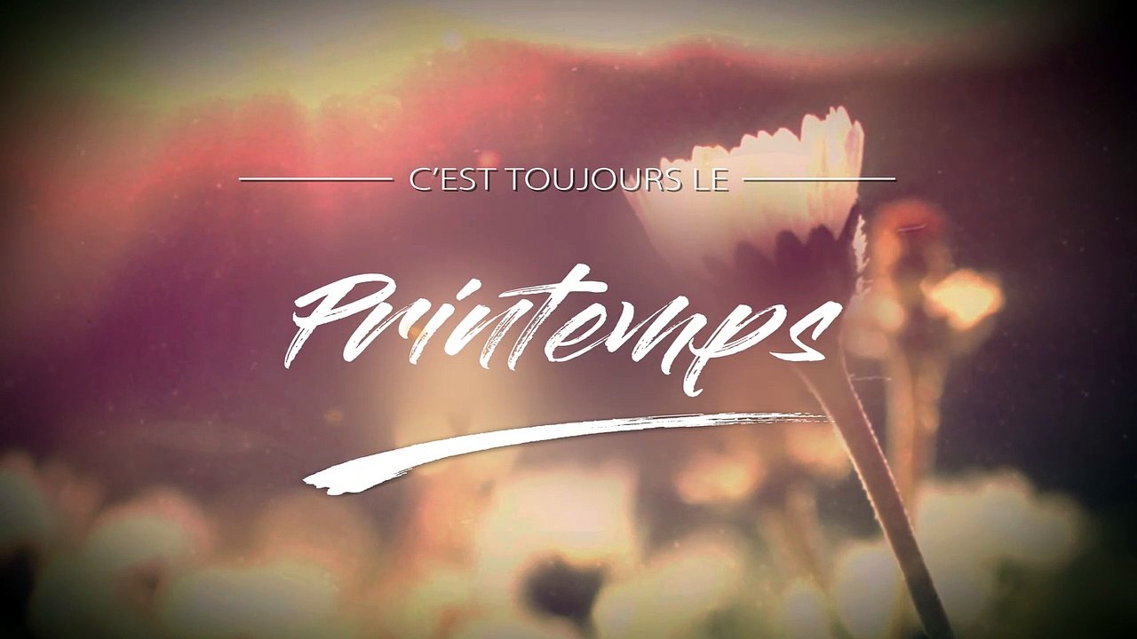 Intro / C'est toujours le printemps