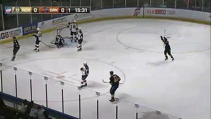 ECHL Norfolk Admirals 1 at Greenville Swamp Rabbits 0