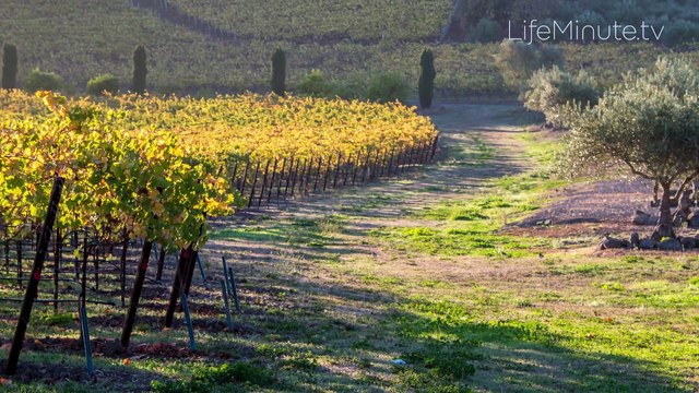 Innovative Ideas for Renovating Your Kitchen