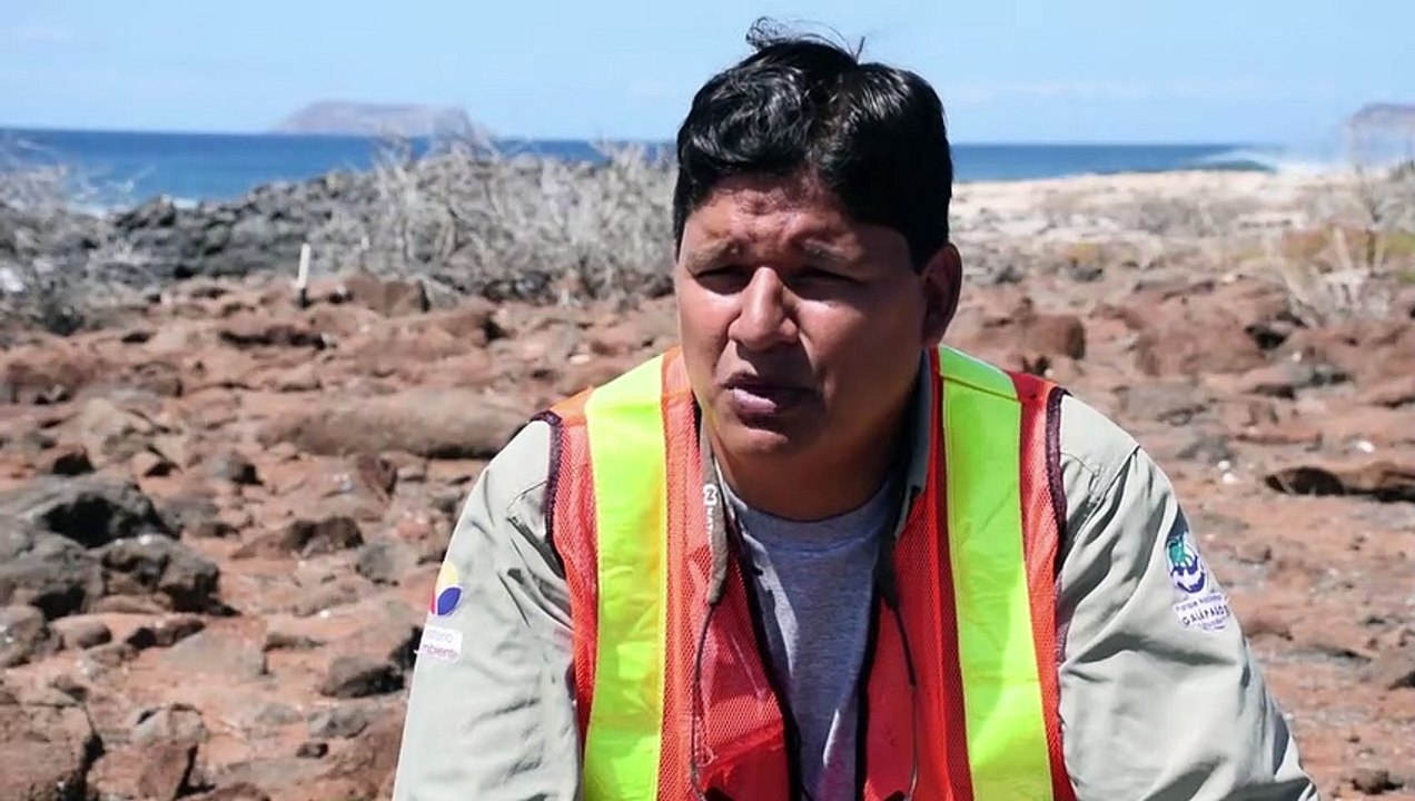 Gift-Drohnen gegen Ratten auf Galápagos-Inseln