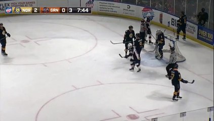 ECHL Norfolk Admirals 3 at Greenville Swamp Rabbits 0