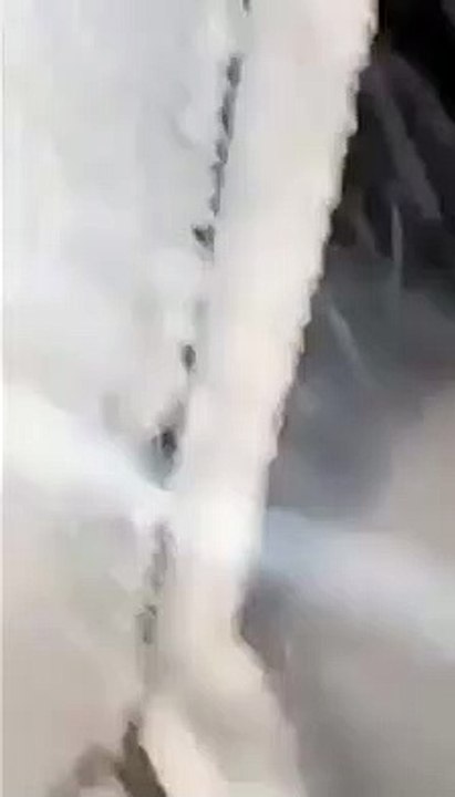  تعيش مكثر الان عاصفة ثلجية هي الأسوأ على الاطلاق و يبدو أن مجهودات الإغاثة