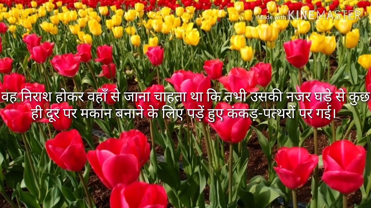 ***  प्यासा कौआ The Thirsty Crow or Pyasa Kauwa Story in Hindi