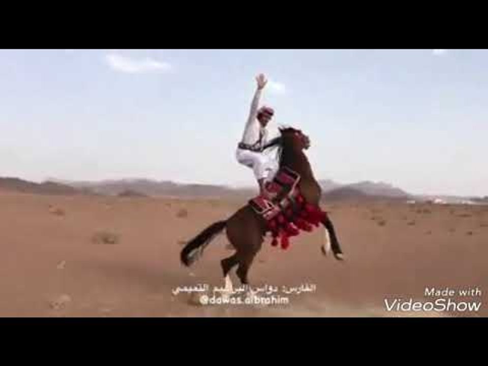 المنشد محمد الزيود - دحة العجارمه  صبيان الصباح || أناشيد و أغاني اردني 2019