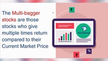 Invest in Long Term Multibagger Stocks India | Best Multibagger Stocks India - ValueMulticaps