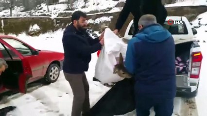 HES çalışanlarından insanlık dersi...Yaralı halde buldukları karacaya böyle kalp masajı yaptılar