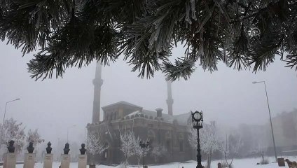 Yoğun sis ve kırağı - KARS