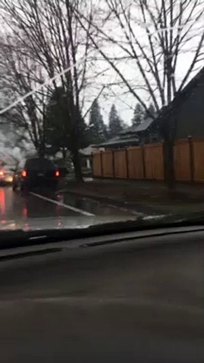 Car Stuck in Tree After Crash