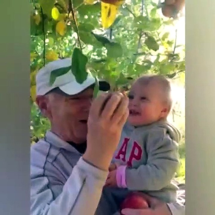 Внуки и дедушки